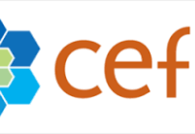CEFIC